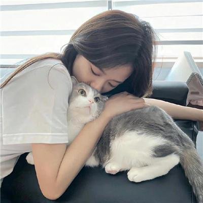 最后的情书
